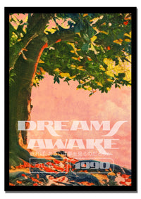 Dreams Awake
