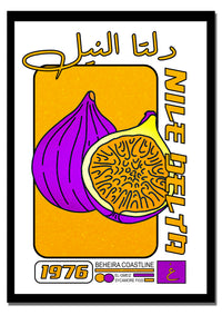 Nile Delta Figs